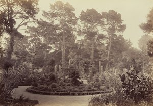 de Carleton Watkins
