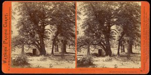 Cabana em Camp Grove, Vale de Yosemite, Condado de Mariposa, Cal de Carleton Watkins