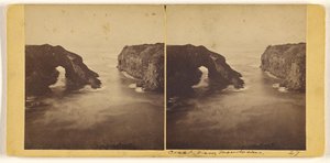  de Carleton Watkins