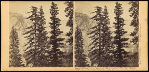 Half Dome e Vernal Fall, de South Fork de Carleton Watkins