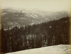  de Carleton Watkins
