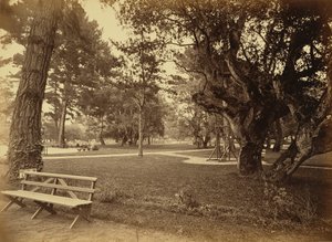 [Monterey, Califórnia. Hotel Del Monte, Lawn View]. de Carleton Watkins