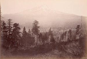  de Carleton Watkins