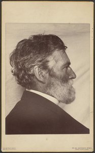 Retrato de George Davidson de Carleton Watkins