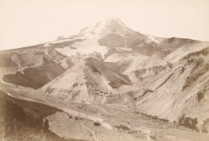  de Carleton Watkins