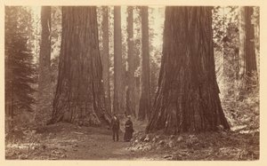  de Carleton Watkins