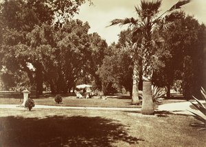 [Thurlow Lodge - Tenda e Grupo Familiar]. de Carleton Watkins