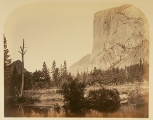  de Carleton Watkins