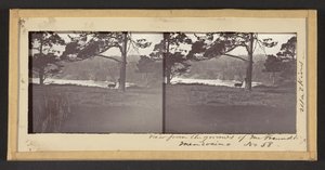 Vista do terreno do Sr. Freundt, Mendocino de Carleton Watkins