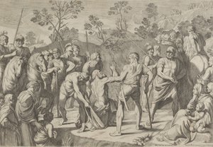 Floresta. de Carlo Cesi