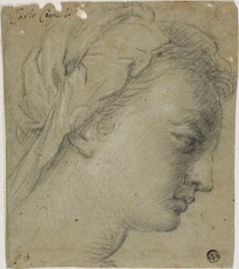 Cabeça de mulher de perfil para a direita de Carlo Cignani