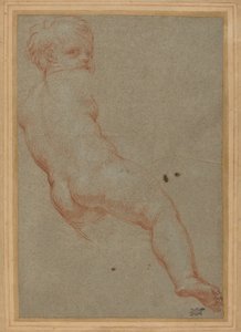 Estudo de um menino de Carlo Maratta