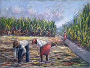 Colheita de Cana, 1986