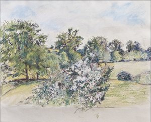 Agosto de Nossa Janela, 2007 (pastel e wc no papel) de Caroline Hervey Bathurst