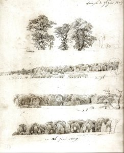 Estudos de árvores 1809 de Caspar David Friedrich