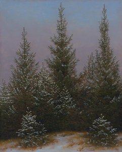Bosque denso de abetos na neve (Da Charneca de Dresden I) de Caspar David Friedrich