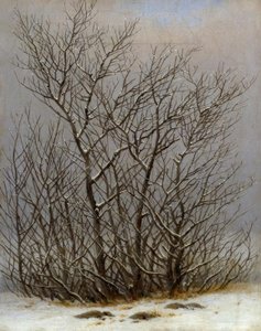 Arbustos na neve de Caspar David Friedrich