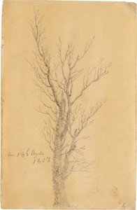 Alemão: Baumstudie Estudo de uma árvore de Caspar David Friedrich