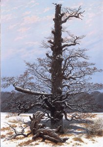 Alemão: Eichbaum im Schnee O carvalho na neve de Caspar David Friedrich