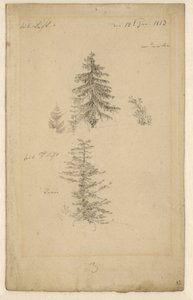 Alemão: Zwei Tannenstudien Dois estudos sobre abetos de Caspar David Friedrich