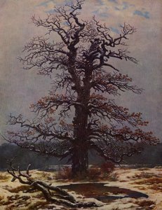 Carvalho na neve de Caspar David Friedrich
