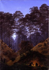 Interior de floresta ao luar