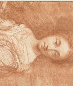 Retrato de uma mulher jovem não identificada, meia pele