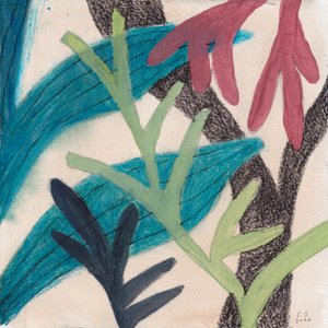 Folhagem abstrata colorida de Catalina Somolinos