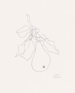 Desenho delicado de uma pêra de Catalina Somolinos