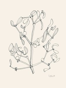 Desenho a linha de visco natalício