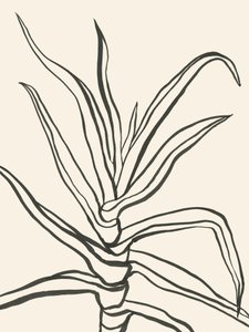 Esboço minimalista de uma planta