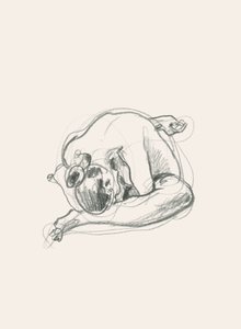 Figura Encolhida e Silenciosa