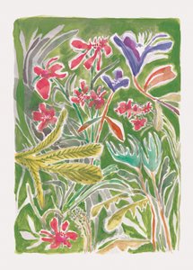 Jardim Selvagem Vibrante de Catalina Somolinos