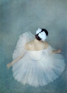 A elegante bailarina cisne de Catherine Wang