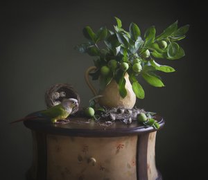 Natureza morta com papagaio verde de Catherine Wang
