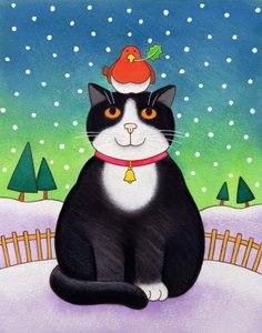 Gato com Robin (wc no papel)