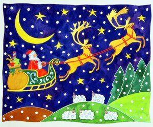 Estrelas e Queda de Neve de Cathy Baxter