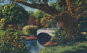 Ponte nº 5, Cherokee Park, 1942