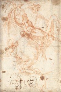 Estudo Equestre de Cavalier d’Arpino