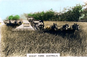 Fazenda de trigo de Grenfell, Austrália, c1920s.