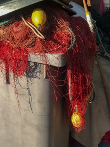 Composição - Nets, 2019 (foto) de Cécile Jamet