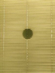 Composição - Sombras, 2019 (foto) de Cécile Jamet