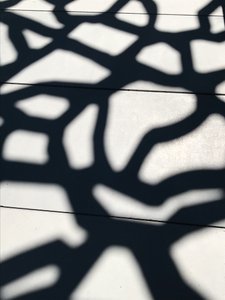 Composição - Sombras, 2021 (foto) de Cécile Jamet