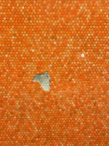 Composição - mosaico, 2022 (foto) de Cécile Jamet