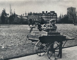 Batatas em Kew Gardens, 1941 de Cecil Beaton