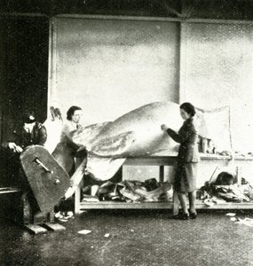 Reparando balões de barragem, c1943. de Cecil Beaton