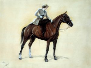 Um cavaleiro elegante a subir para uma Amazónia. Desenho de Cecil Aldin (1870-1935) Coleção particular do século XIX de Cecil Charles Windsor Aldin