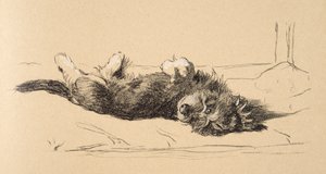 Áspero Daschund Puppy Detail, 1930, ilustrações de seu Sketch Book usado para apenas entre amigos, Aldin, Cecil Charles Windsor (1870-1935), mais tarde publicado pela Eyre e Spottiswoode Limited, 1934, Cha de Cecil Charles Windsor Aldin