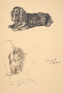 Spaniel and Chow, 1930, ilustrações de seu livro de desenho usado para apenas entre amigos, Aldin, Cecil Charles Windsor (1870-1935), mais tarde publicado pela Eyre e Spottiswoode Limited, 1934, giz e Char de Cecil Charles Windsor Aldin