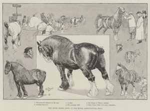 O Shire Horse Show no Royal Agricultural Hall de Cecil Charles Windsor Aldin